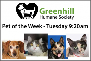 Greenhill Humane Society Pet of the Week
