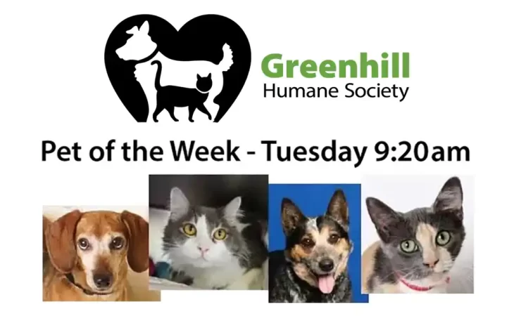 Greenhill Pet of the Week
